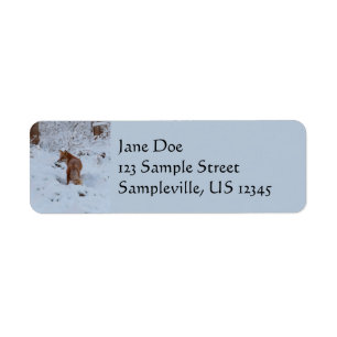 Winter Fox Return Address Label
