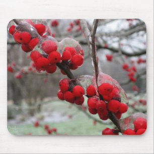 Winter Freeze and Ice on Red Berries Mouse Pad