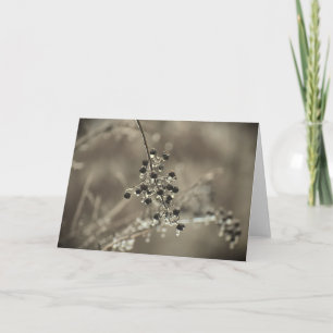 Winter Freeze, card