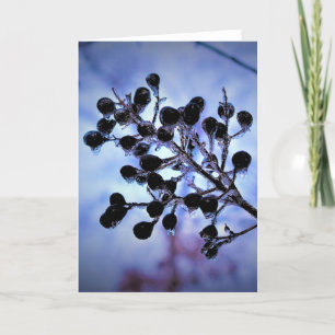 Winter Freeze, card
