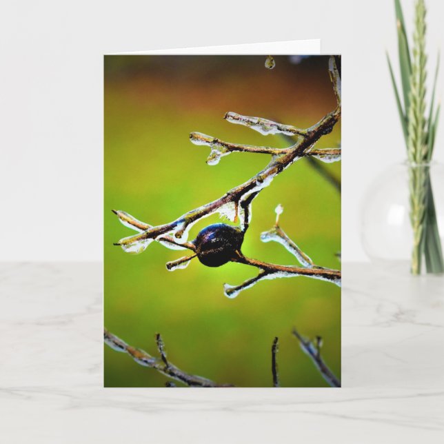 Winter Freeze, card (Front)