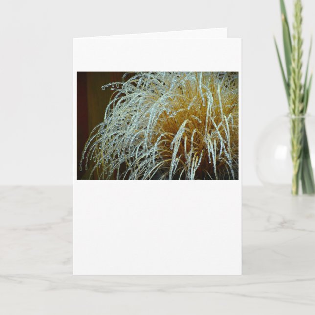Winter Freeze, card (Front)