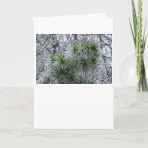 Winter Freeze, card