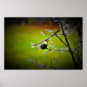 Winter Freeze, Poster