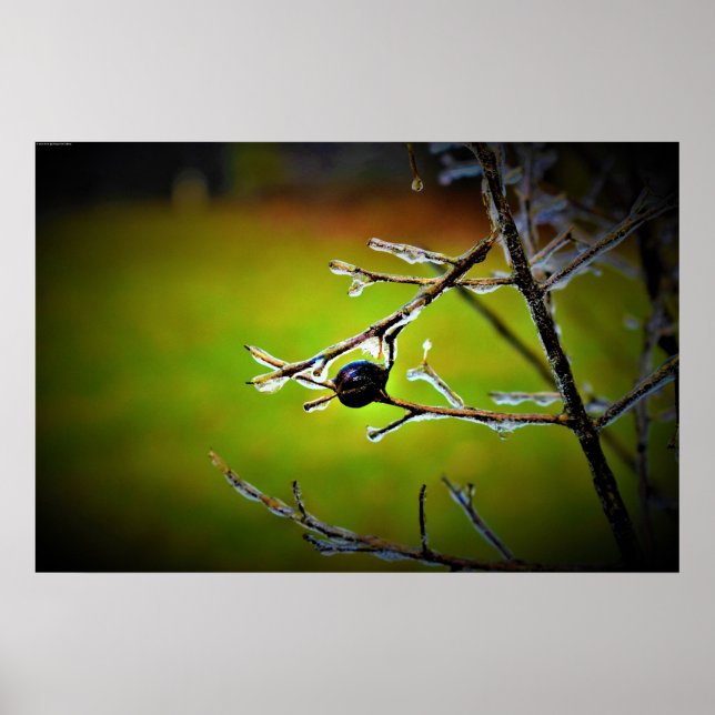 Winter Freeze,  Poster (Front)