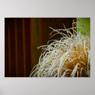 Winter Freeze, Poster