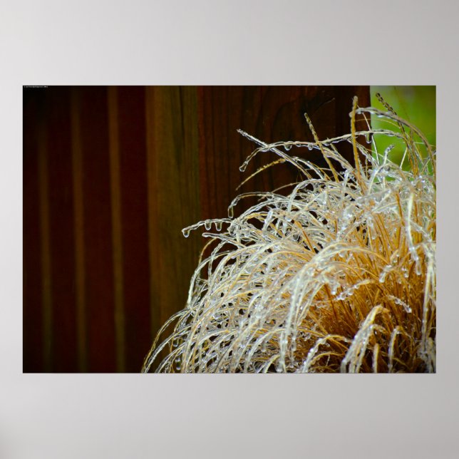 Winter Freeze, Poster (Front)