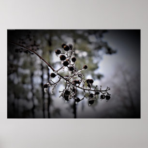 Winter Freeze,  Poster