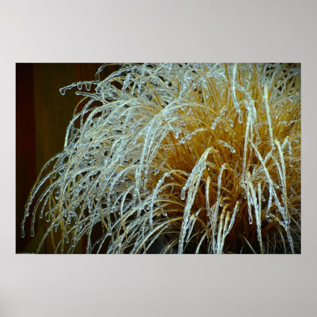 Winter Freeze, Poster (Front)