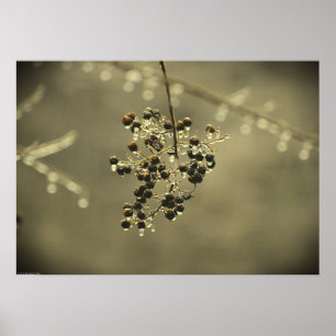 Winter Freeze, Poster