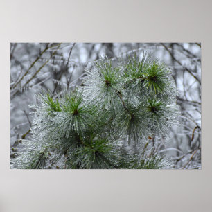 Winter Freeze, Poster