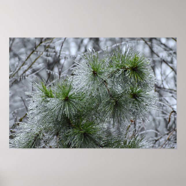 Winter Freeze, Poster (Front)