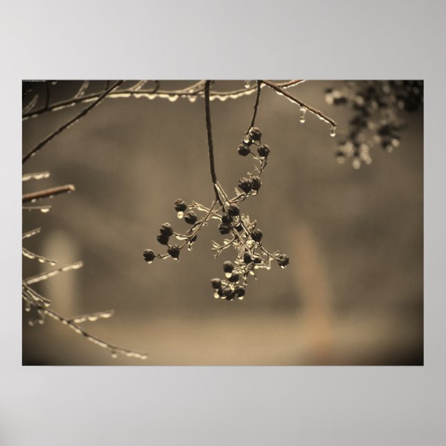 Winter Freeze, Poster (Front)