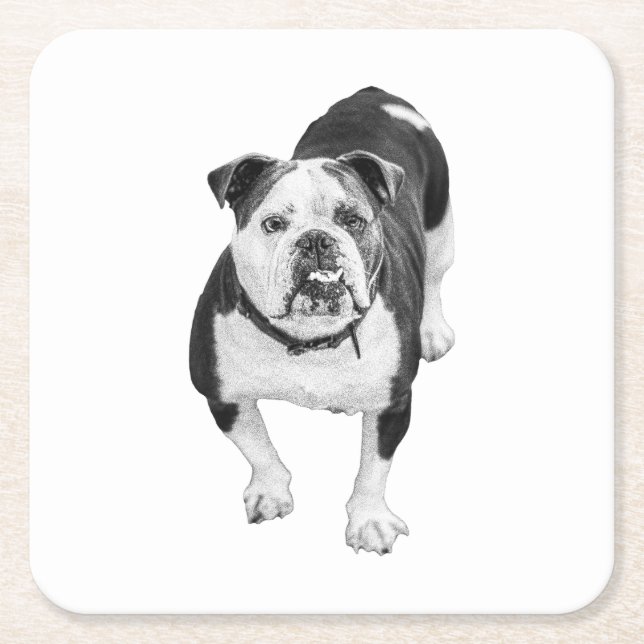 Winter Friend, Bulldog Coaster (Front)