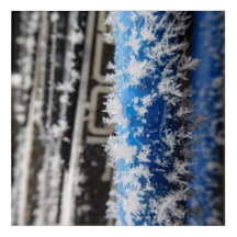 Winter Frost Acrylic Art Print