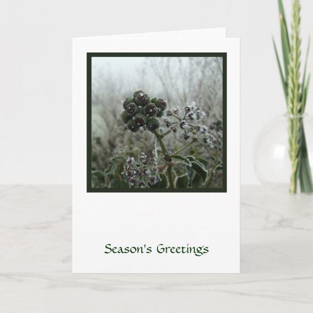 Winter Frost Holiday Card (Front)