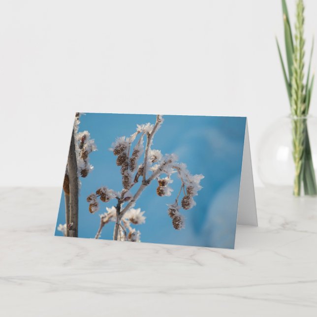 Winter frost holiday card (Front)