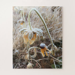 Winter Frost Wilted Rudbeckia Blooms Photograph Jigsaw Puzzle