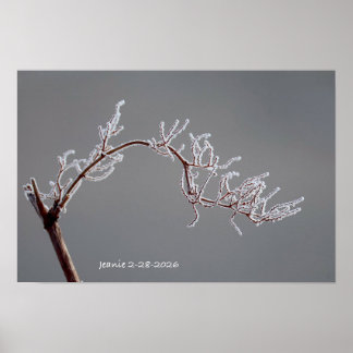 Winter Frosted branch Poster