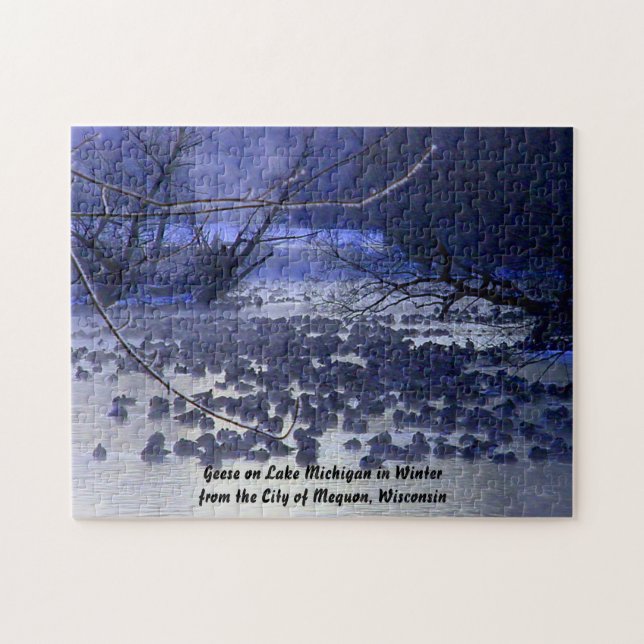 Winter Geese on Lake Michigan, Mequon in Wisconsin Jigsaw Puzzle (Horizontal)