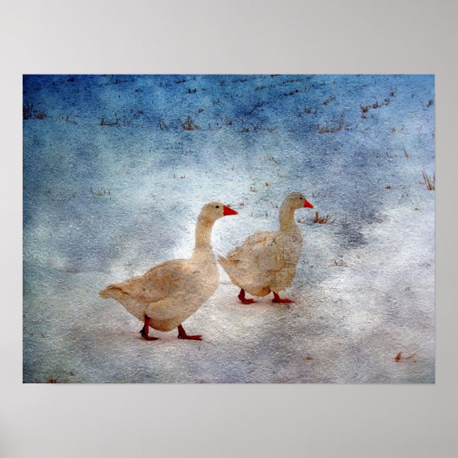 Winter Geese Poster (Front)