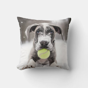 🐕 Winter Great Dane puppy with🎾 tennis balls Cushion