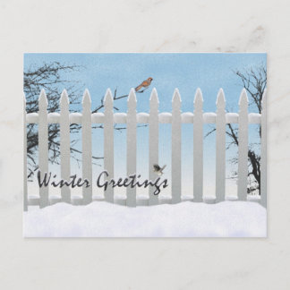 Winter greetings holiday postcard