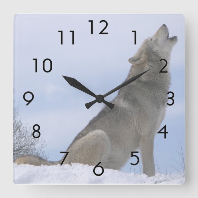 Winter Grey Wolf Howling Square Wall Clock (Front)