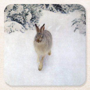 Winter Hare (Rabbit), Bruno Liljefors Square Paper Coaster