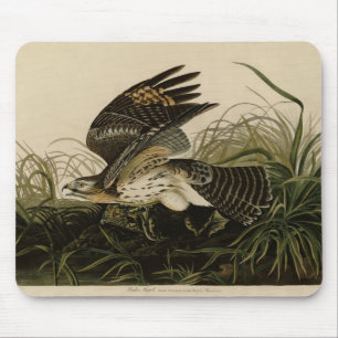 Winter Hawk, John James Audubon's Birds of America Mouse Pad