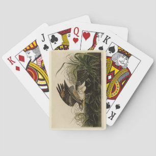 Winter Hawk, John James Audubon's Birds of America Playing Cards