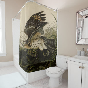 Winter Hawk, John James Audubon's Birds of America Shower Curtain