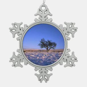 Winter Hawthorn Tree Holiday Card Poster Photo Blo Snowflake Pewter Christmas Ornament