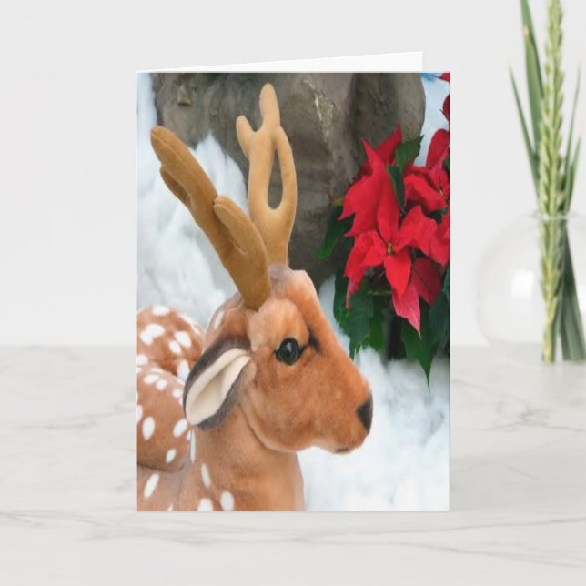 Winter Holiday Card:  "Snow, Deer" Card (Front)