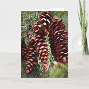 Winter Holidays Pinecones Christmas Evergreen Holiday Card