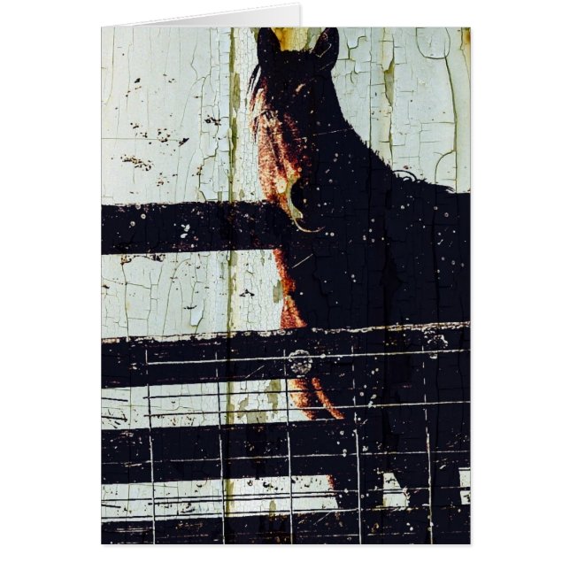 Winter Horse (Front)