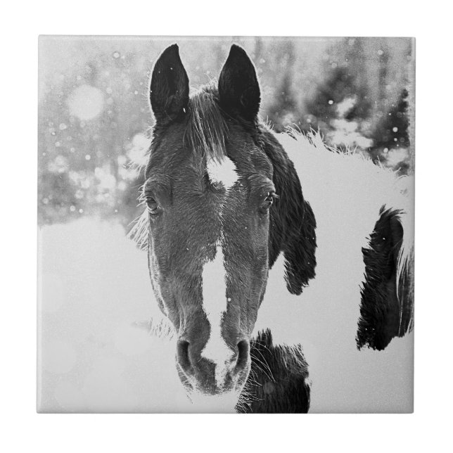 Winter Horse B&W Ceramic Tile (Front)