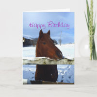 Winter horse Birthday card
