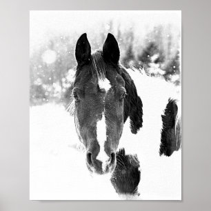 Winter Horse Equine Animals B&W Poster