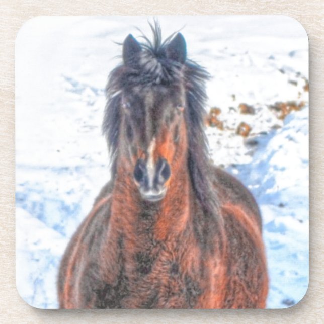 Winter Horse in Snowy Field Coaster (Front)