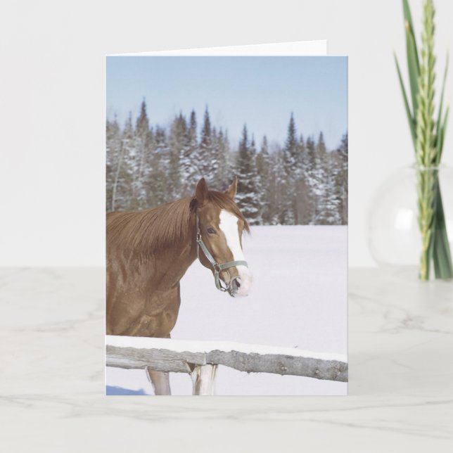 Winter Horse Snow Equine Xmas Holiday Christmas (Front)