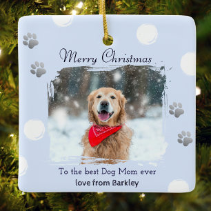 Winter Ice Blue Dog Mum Pet Photo Christmas Ceramic Ornament