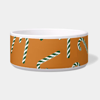 Winter illustration pet