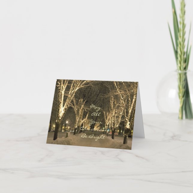 Winter In Boston - Park Scene Holiday Card (Front)