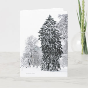Winter in Boston Public Garden Park Holiday Card