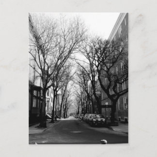 Winter in Brookly, NY Postcard