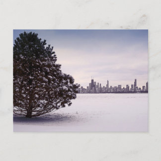 Winter in Chicago Postcard