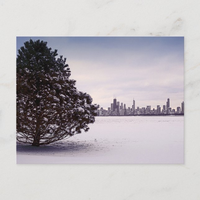 Winter in Chicago Postcard (Front)