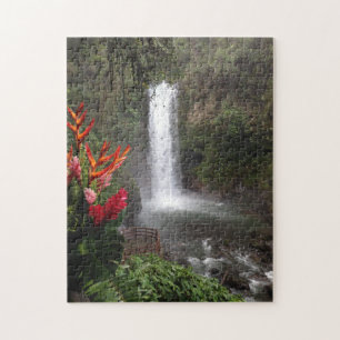 Winter in Costa Rica Jigsaw Puzzle
