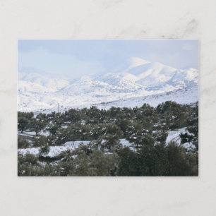 Winter in Crete Postcard